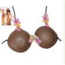 Hawai bra 2